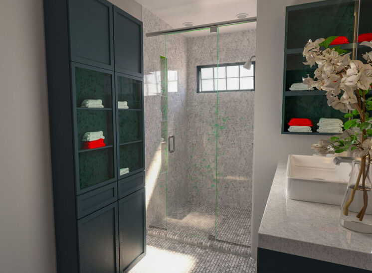 Bathroom Modernize and Facelift-01