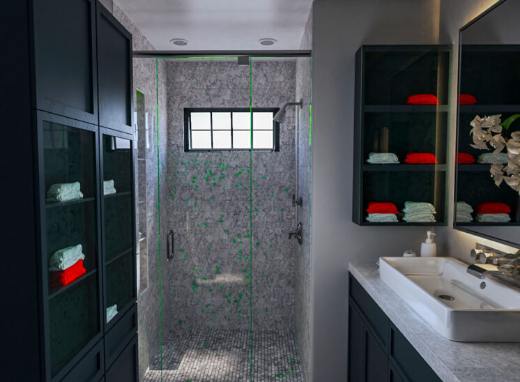Bathroom Modernize and Facelift-01