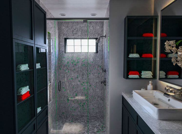 Bathroom Modernize and Facelift-01